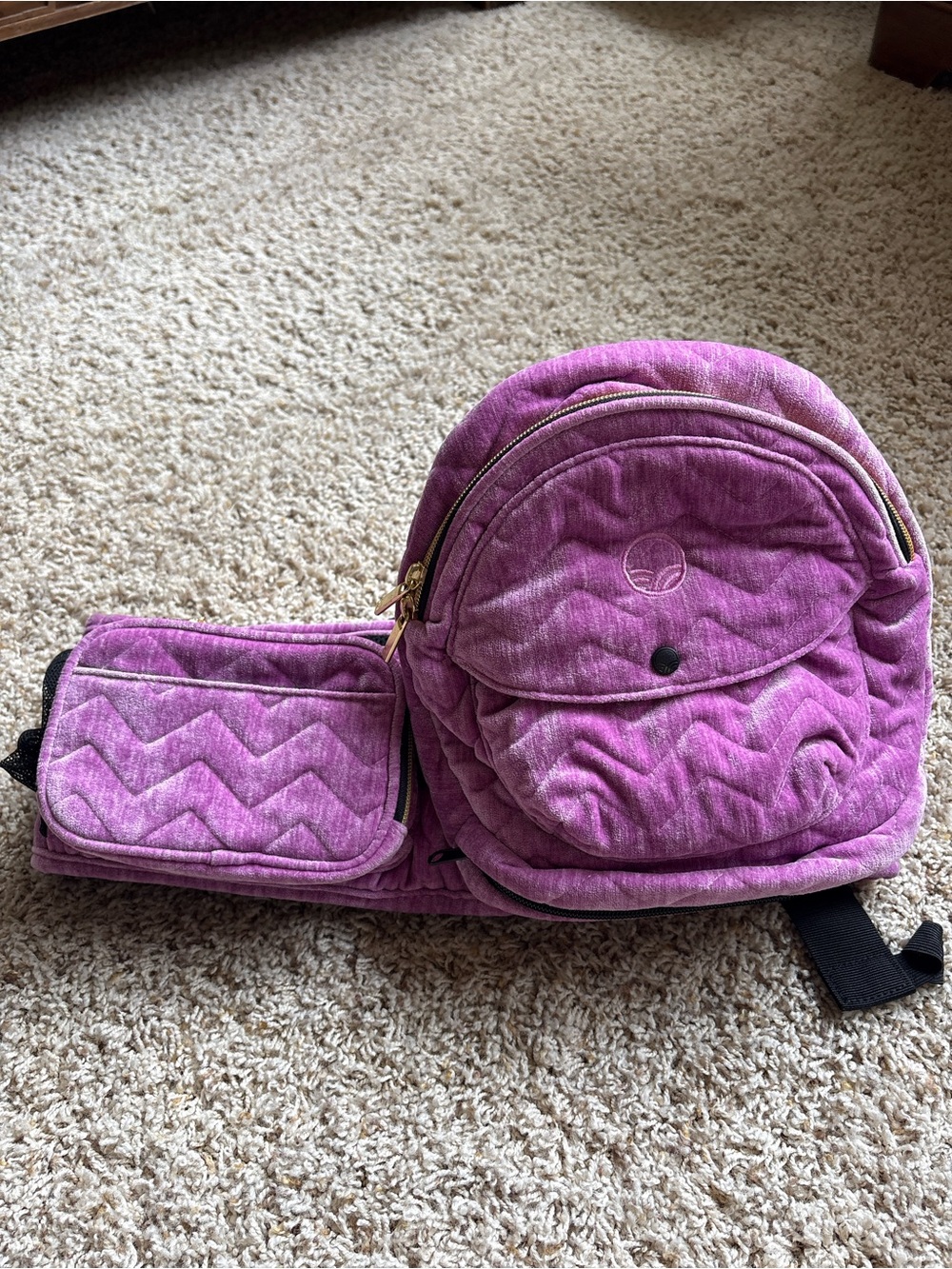 Tushbaby Hip Carrier Velvet Orchard
